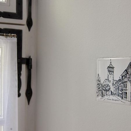 Ferienwohnung In Rheinfelder Altstadt Rheinfelden Eksteriør billede
